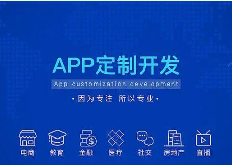 APP定制开发